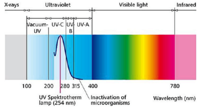 紫外線滅菌.png